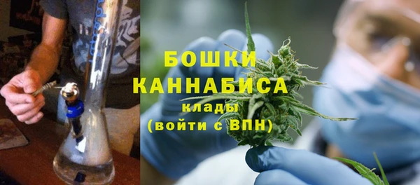 эйфоретик Дмитриев
