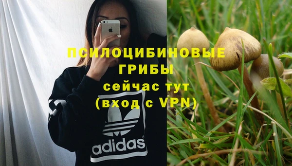 COCAINE Дмитров
