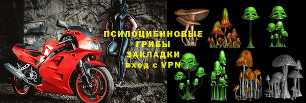 эйфоретик Дмитриев