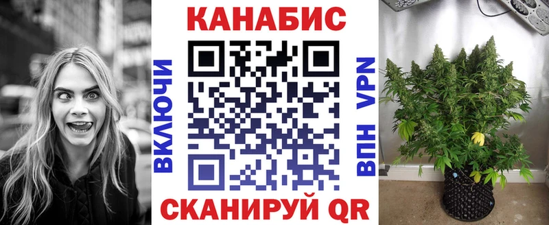 блэк спрут зеркало  что такое   Перевоз  Бошки Шишки SATIVA & INDICA 